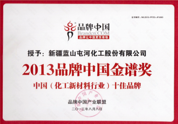2013品牌中国金谱奖
