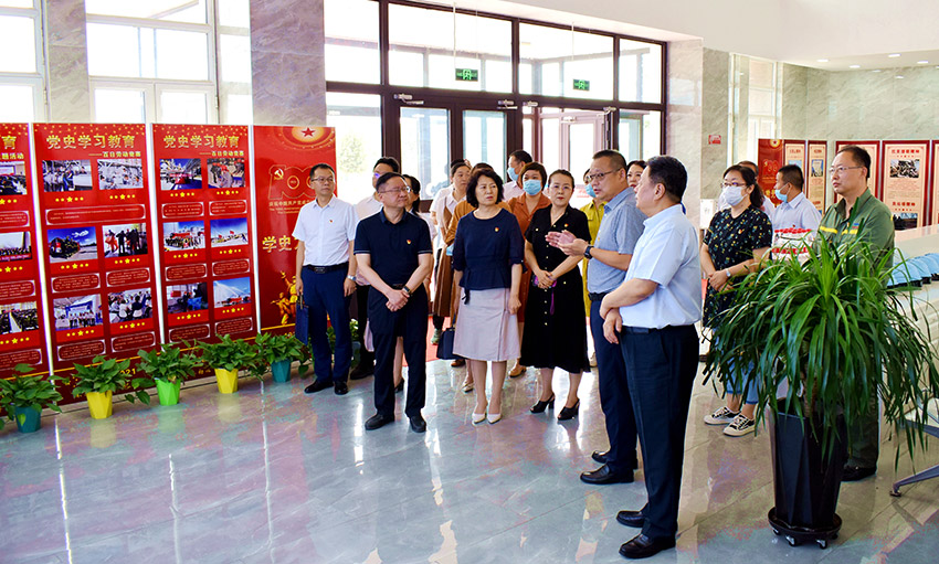 审企联动聚合力  党建引领促发展——“迎七一 话初心 促发展”主题党日活动